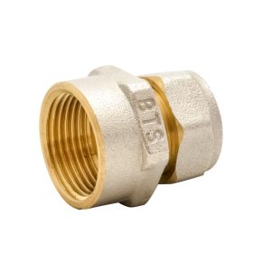 بوشن توپیچ کوپلی BTS